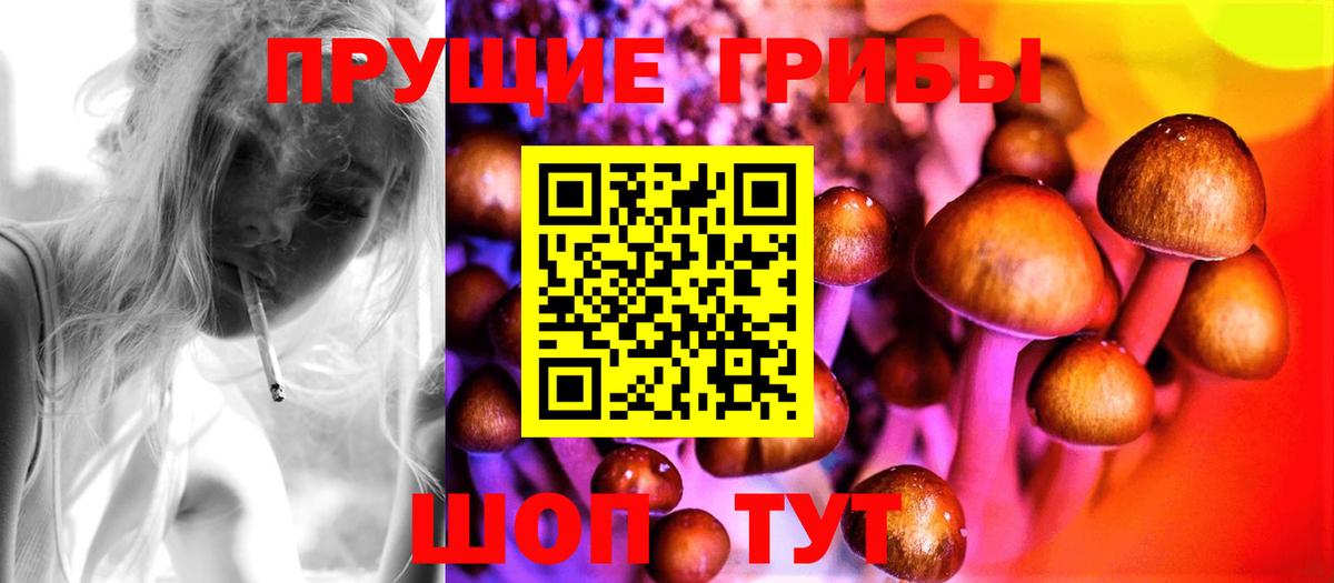 Галлюциногенные грибы Psilocybine cubensis  Вход с VPN  Йошкар-Ола 